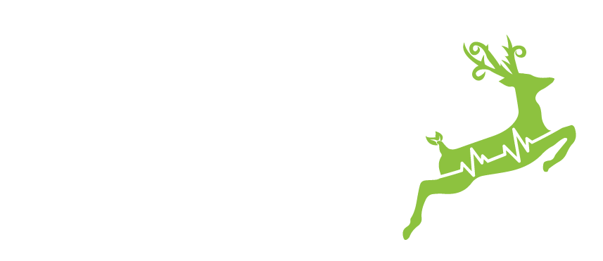 نمط صحي